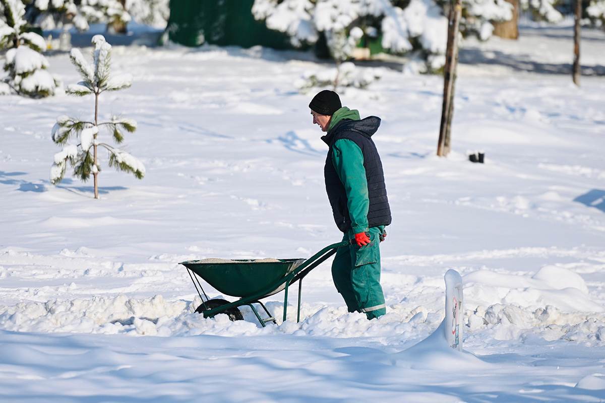 Sneg u Beogradu (11).jpg