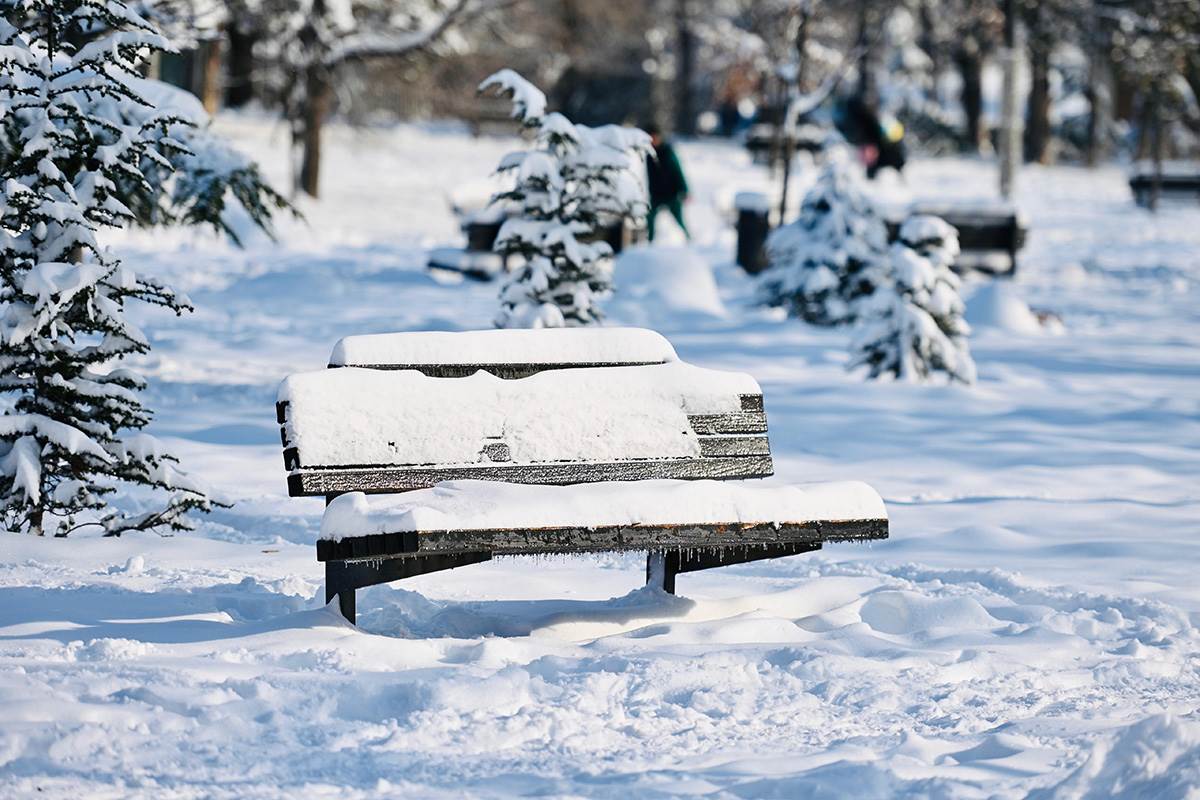 Sneg u Beogradu (13).jpg