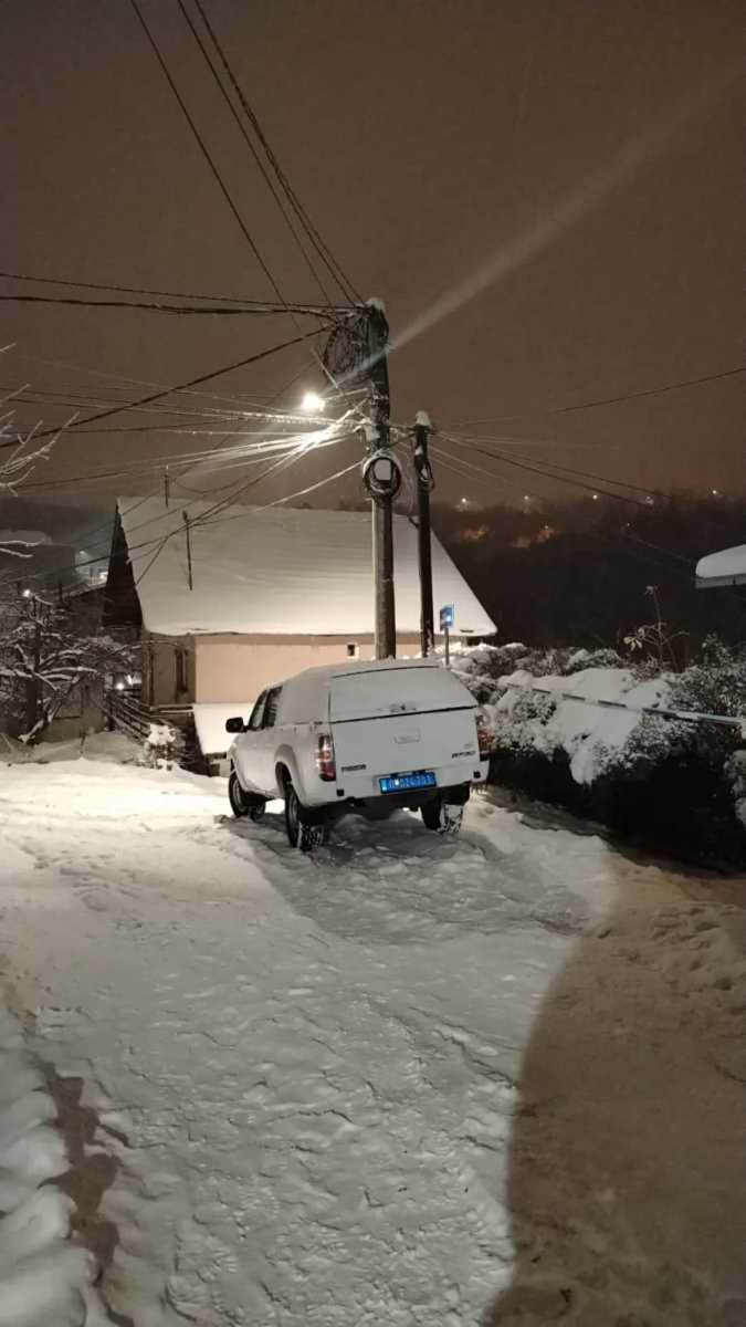 pucnjava na Zvezdari (3).jpg