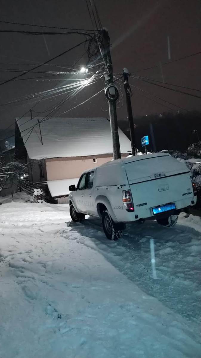 pucnjava na Zvezdari (1).jpg