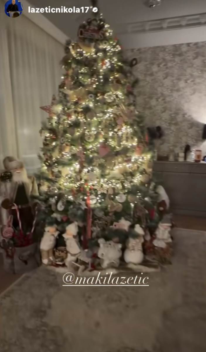 Sonja Lazetić kuća na Avali za praznike