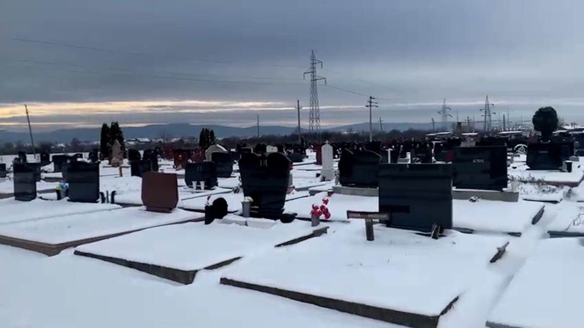 Matija Radulović (2).jpg