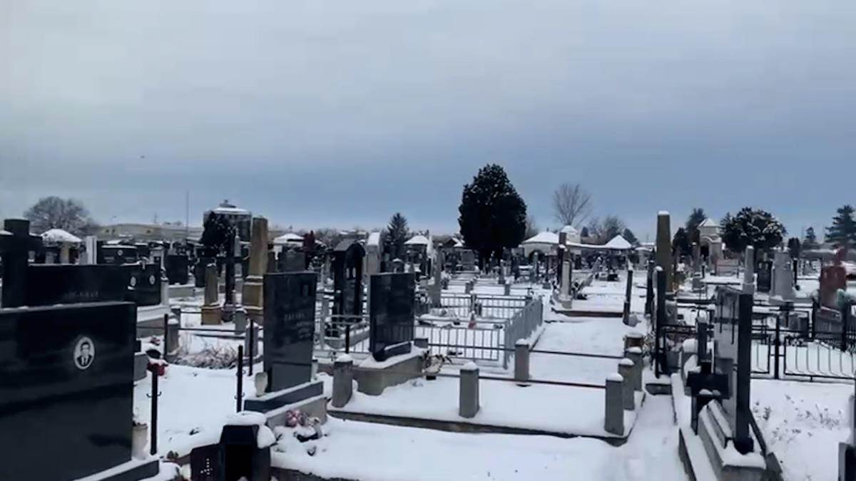 Matija Radulović (5).jpg