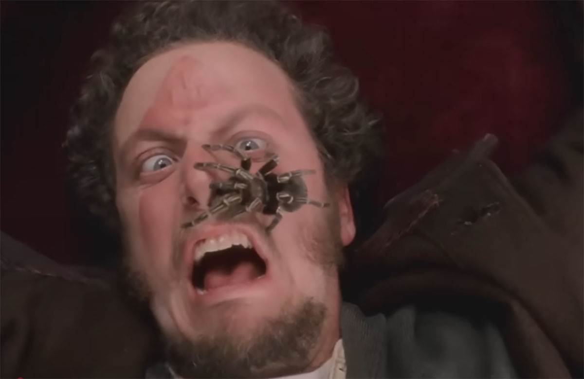 Danijel Stern Sam u kući (1).jpg