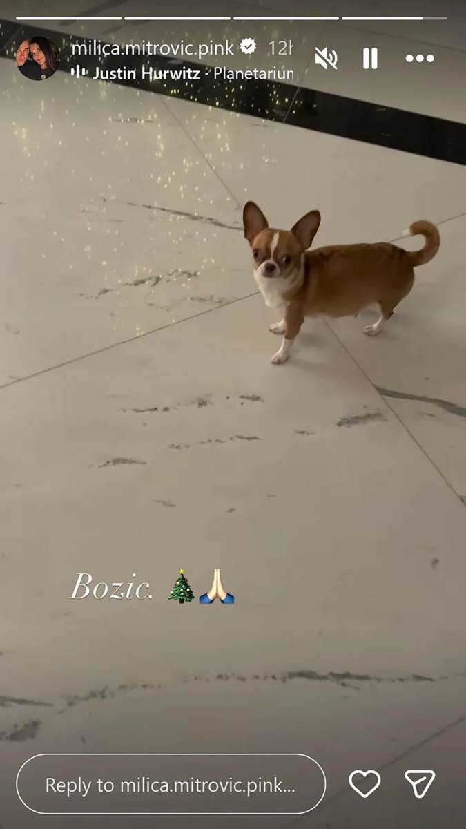 Milica Mitrović (14).jpg