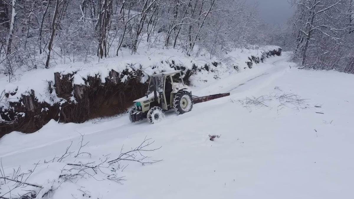 Sneg na Zlatiboru 9.jpg