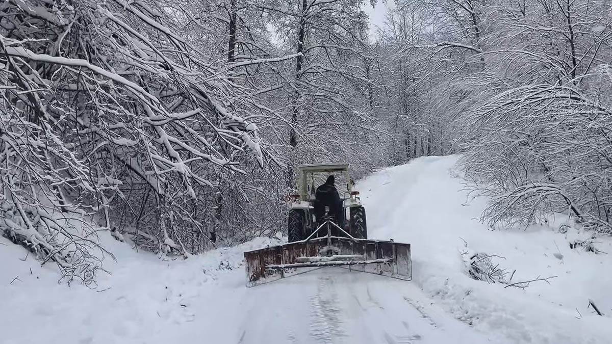 Sneg na Zlatiboru 8.jpg