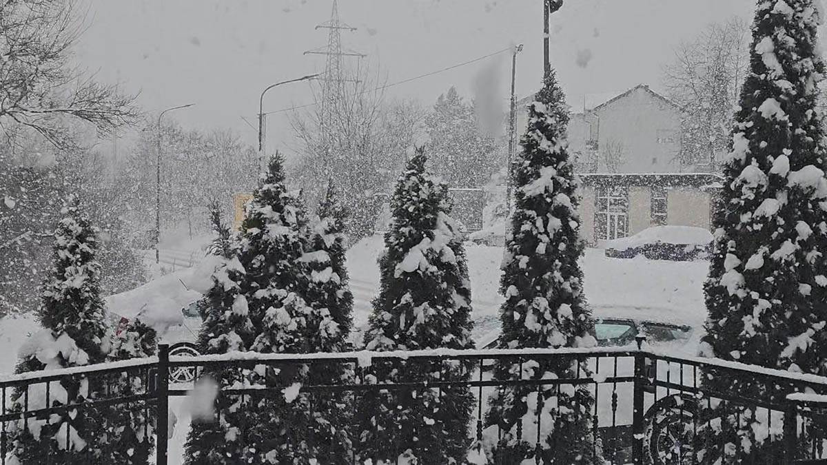 Sneg na Zlatiboru 7.jpg