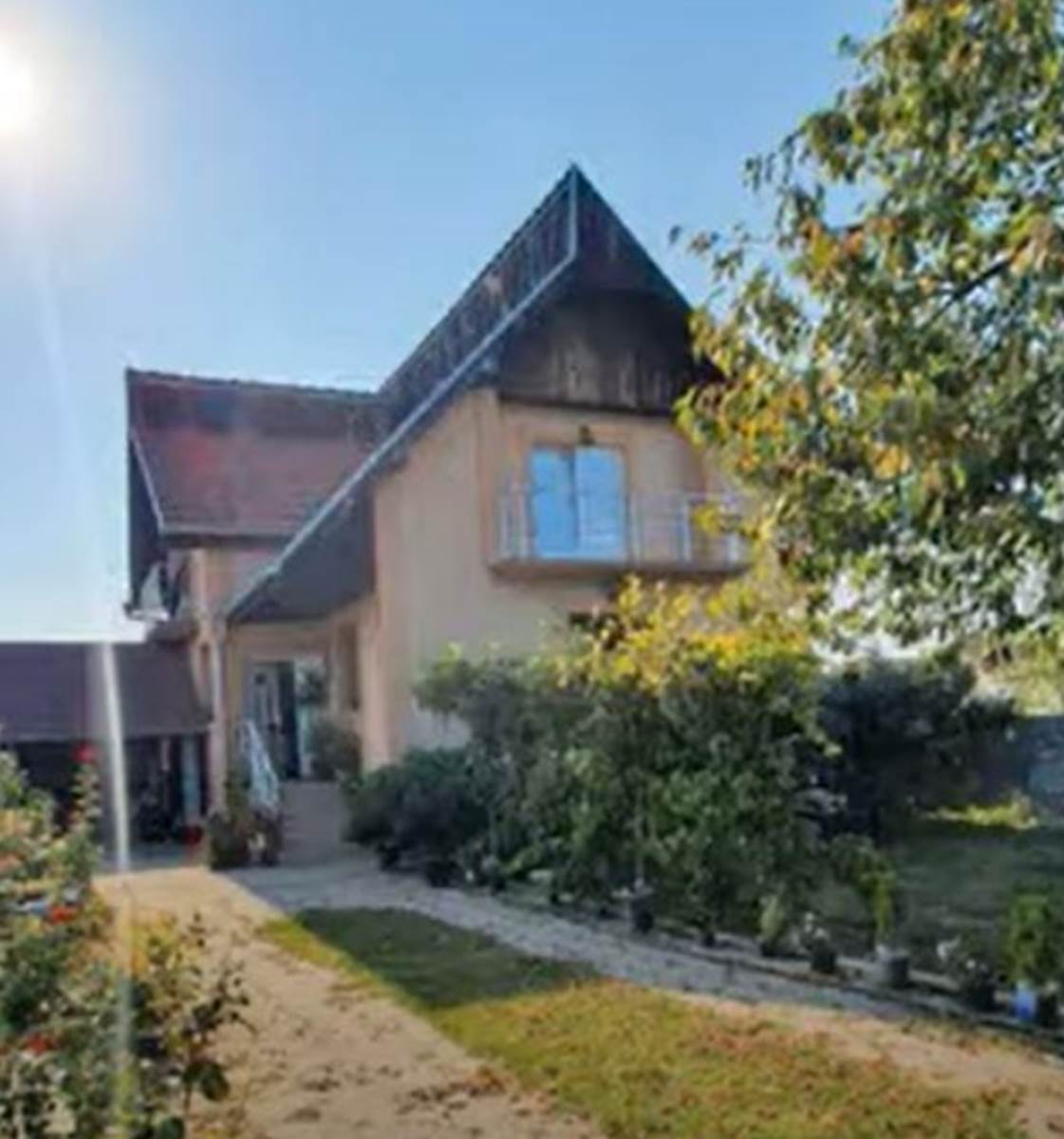 aleksandra mladenović