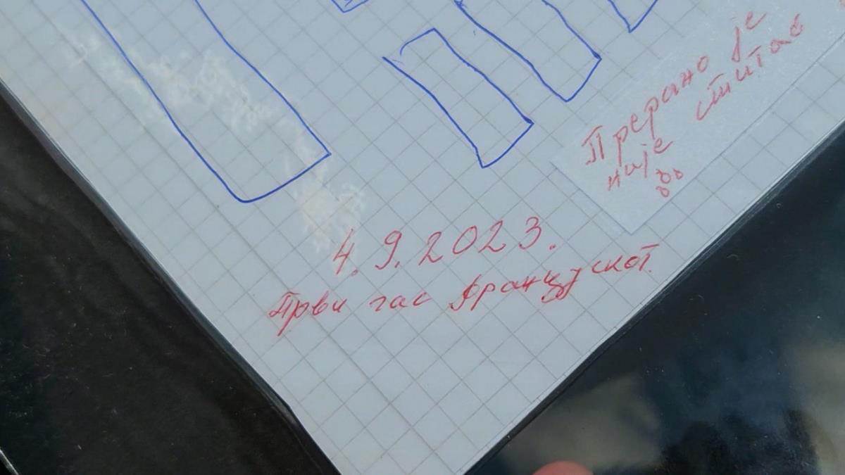 ubistvo andreja simića (5).jpg