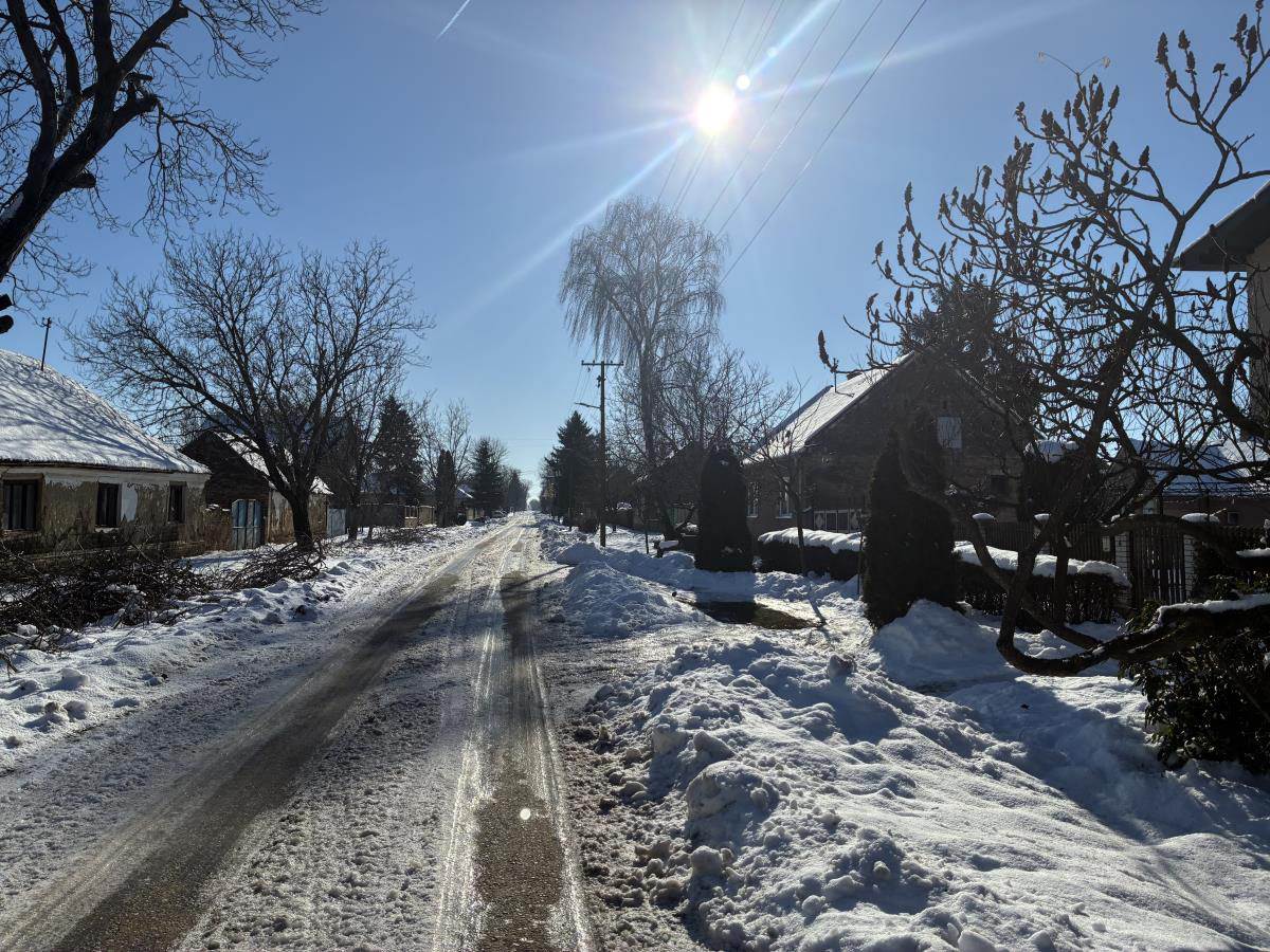 Mina Kostić Mane Ćuruvija (1).jpg