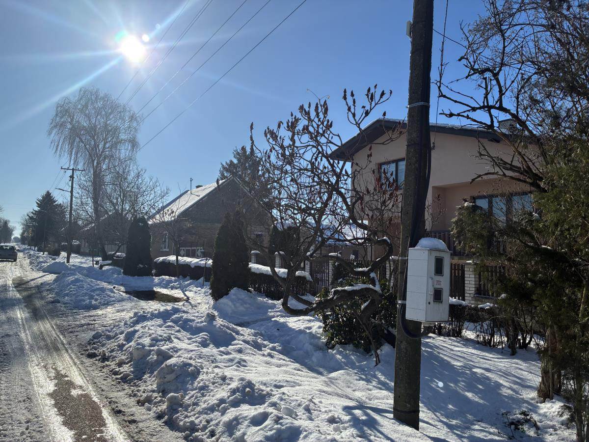 Mina Kostić Mane Ćuruvija (2).jpg