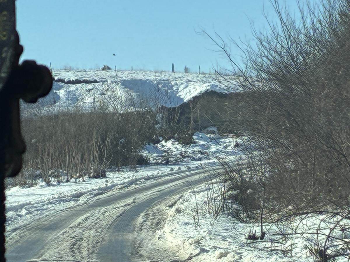 Mina Kostić Mane Ćuruvija (4).jpg