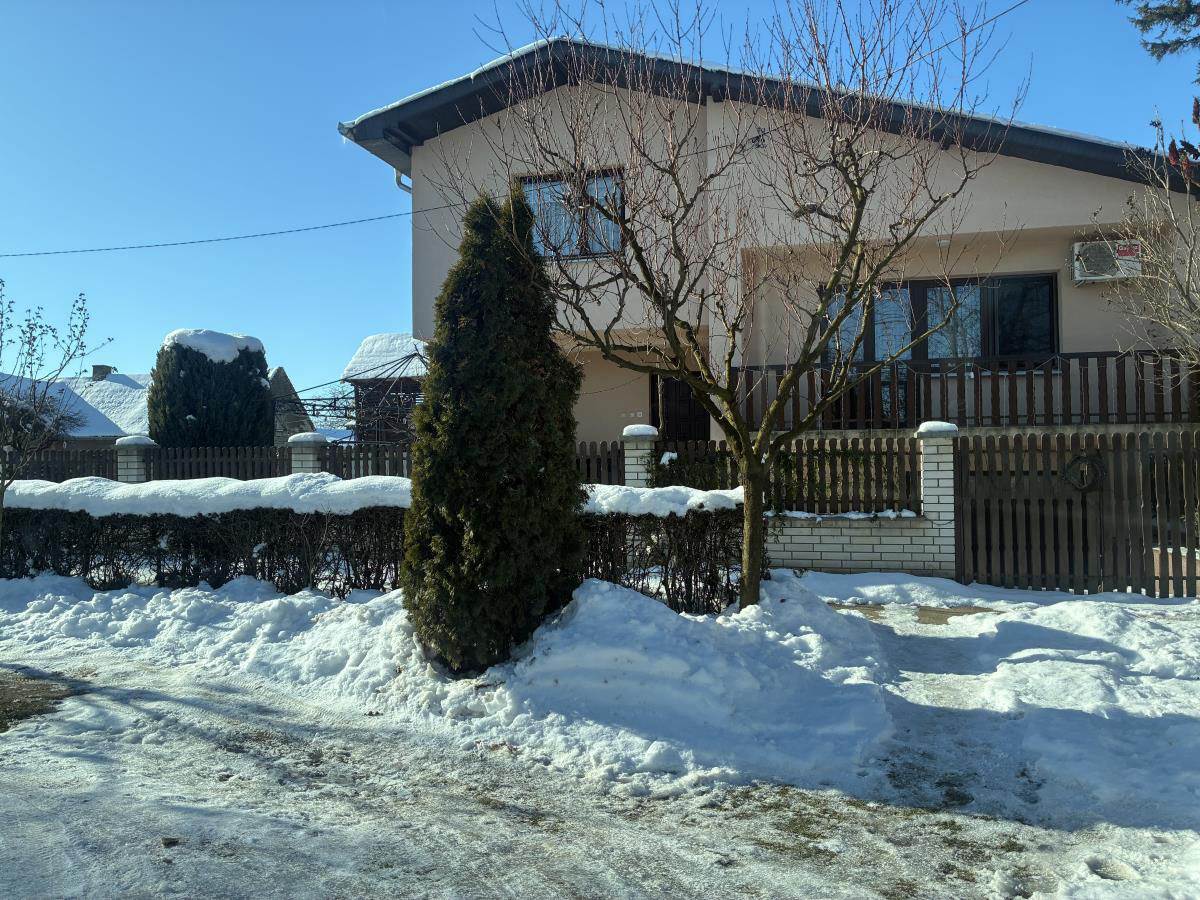 Mina Kostić Mane Ćuruvija (5).jpg