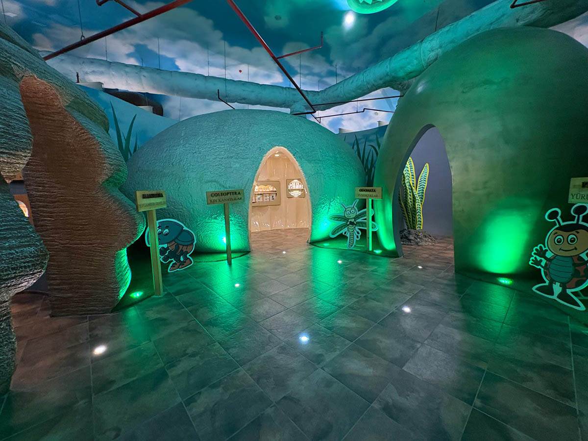 Tropski vrt leptira (2).jpg