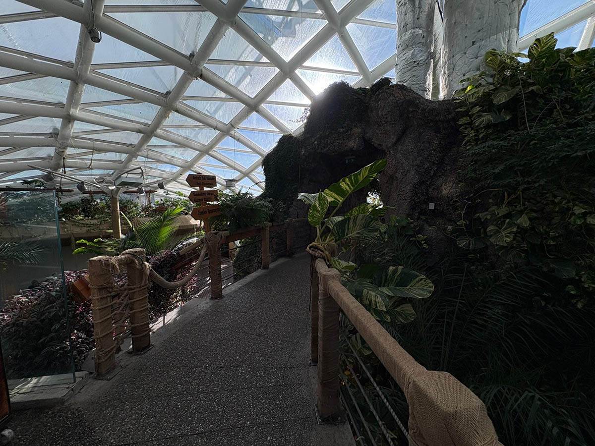 Tropski vrt leptira (4).jpg