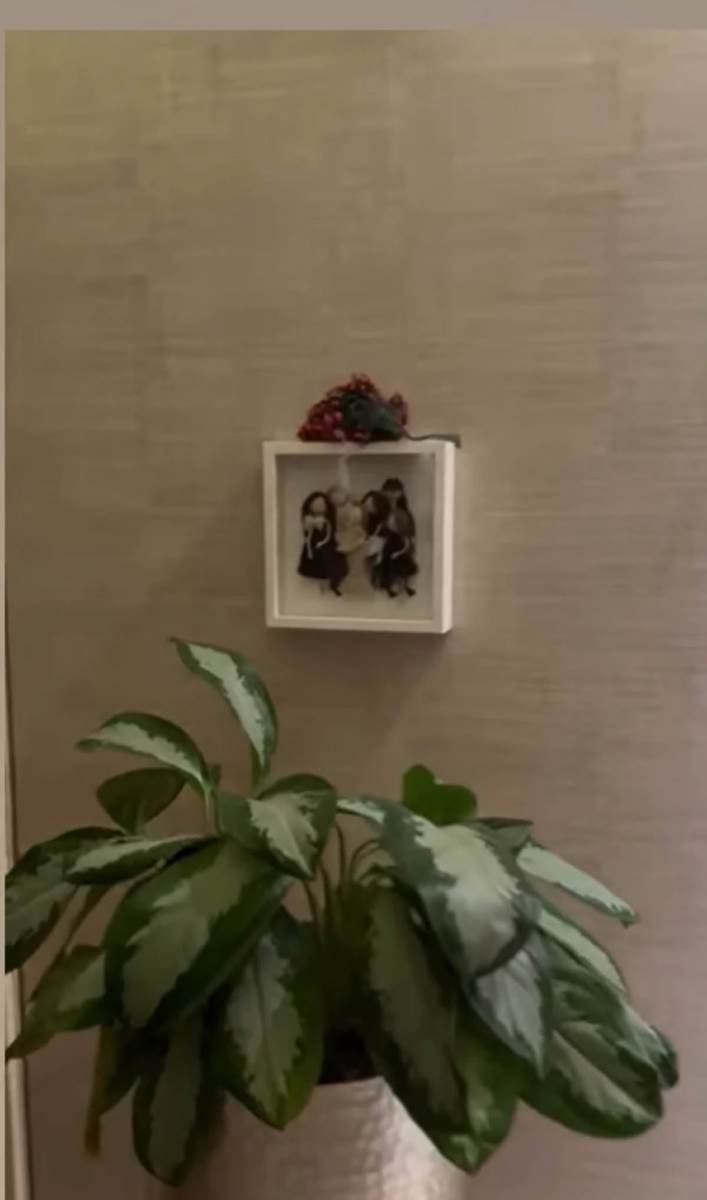 Stan iz kojeg iseljavaju Čedu Jovanovića i Acu Kosa (3).jpg