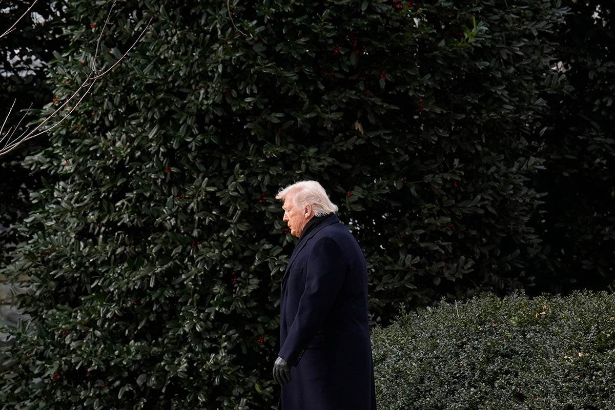 Donald Tramp (4).jpg