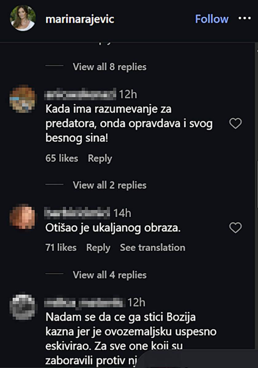 Mika Aleksić komentari (3) .jpg