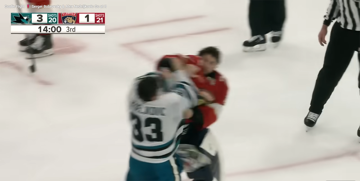 Tuča Hokejaša (6).png