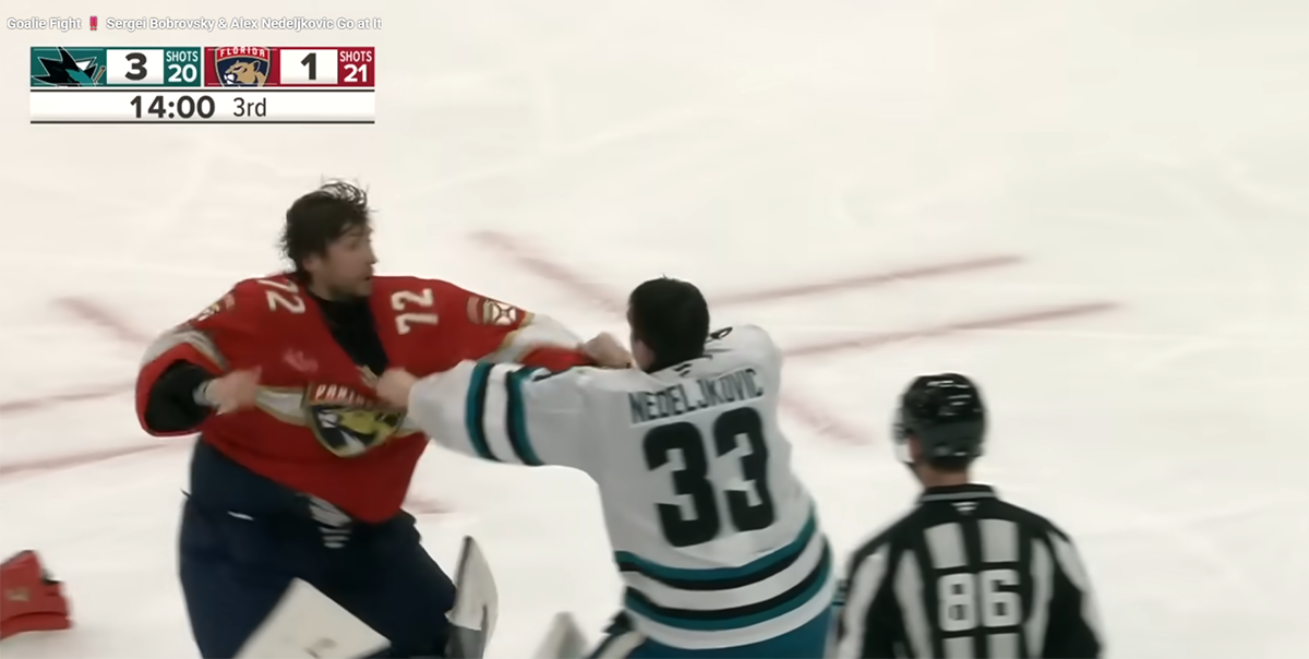 Tuča Hokejaša (7).png