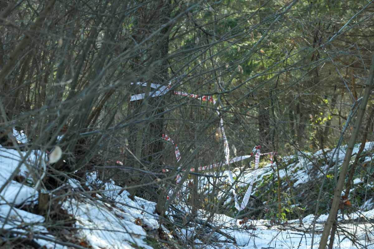 Mesto na kome je ubijen Živko Bakić (8).jpg
