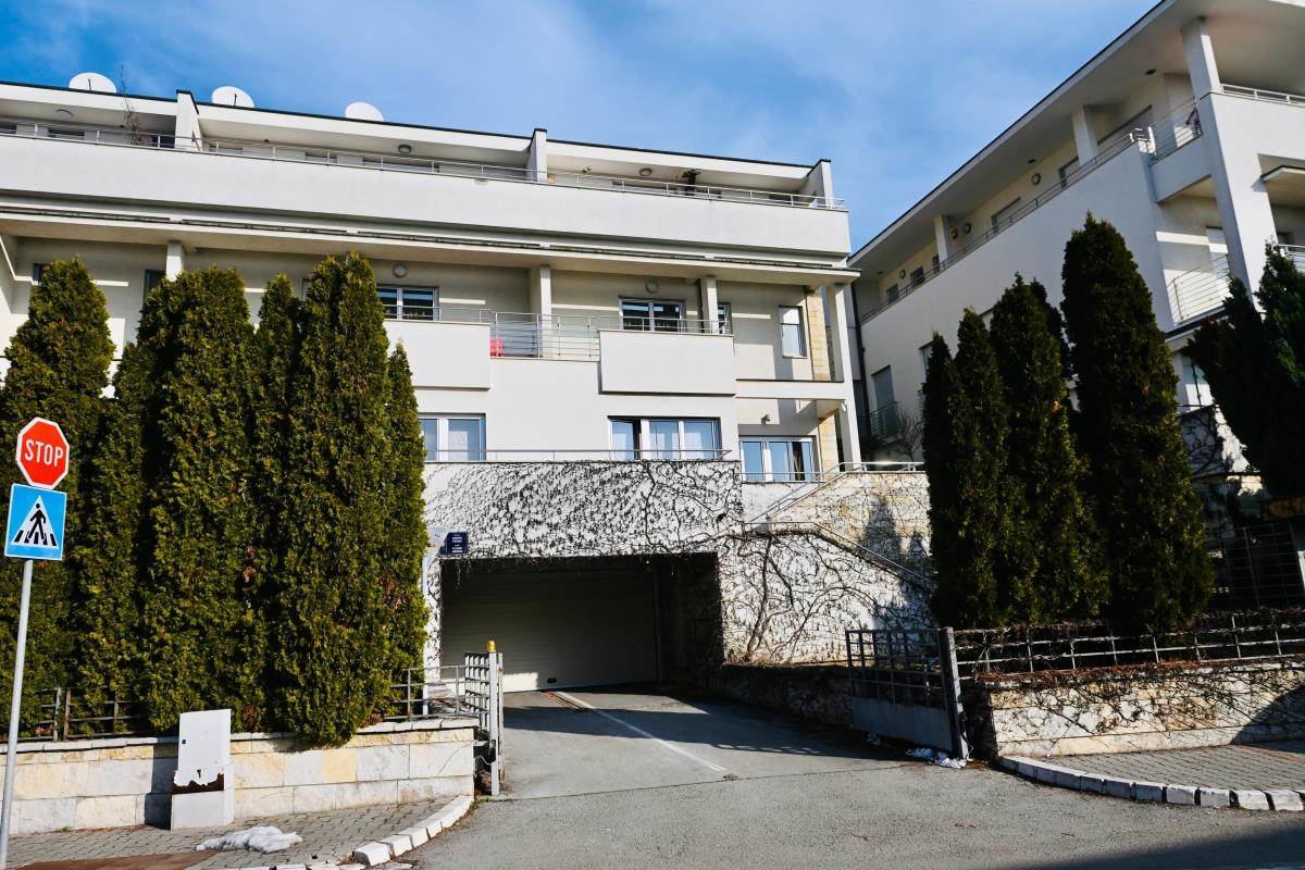 duško tošić,jelena karleuša