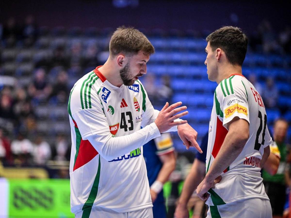 Zoran Ilić reprezentativac Mađarske objašnjava saigraču na utakmici