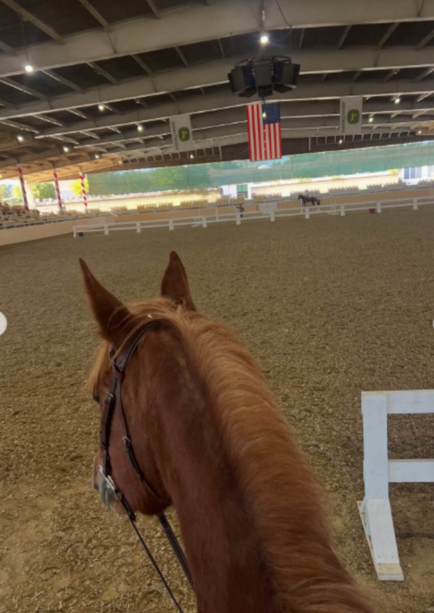 Nina Seničar 1 konj.jpg