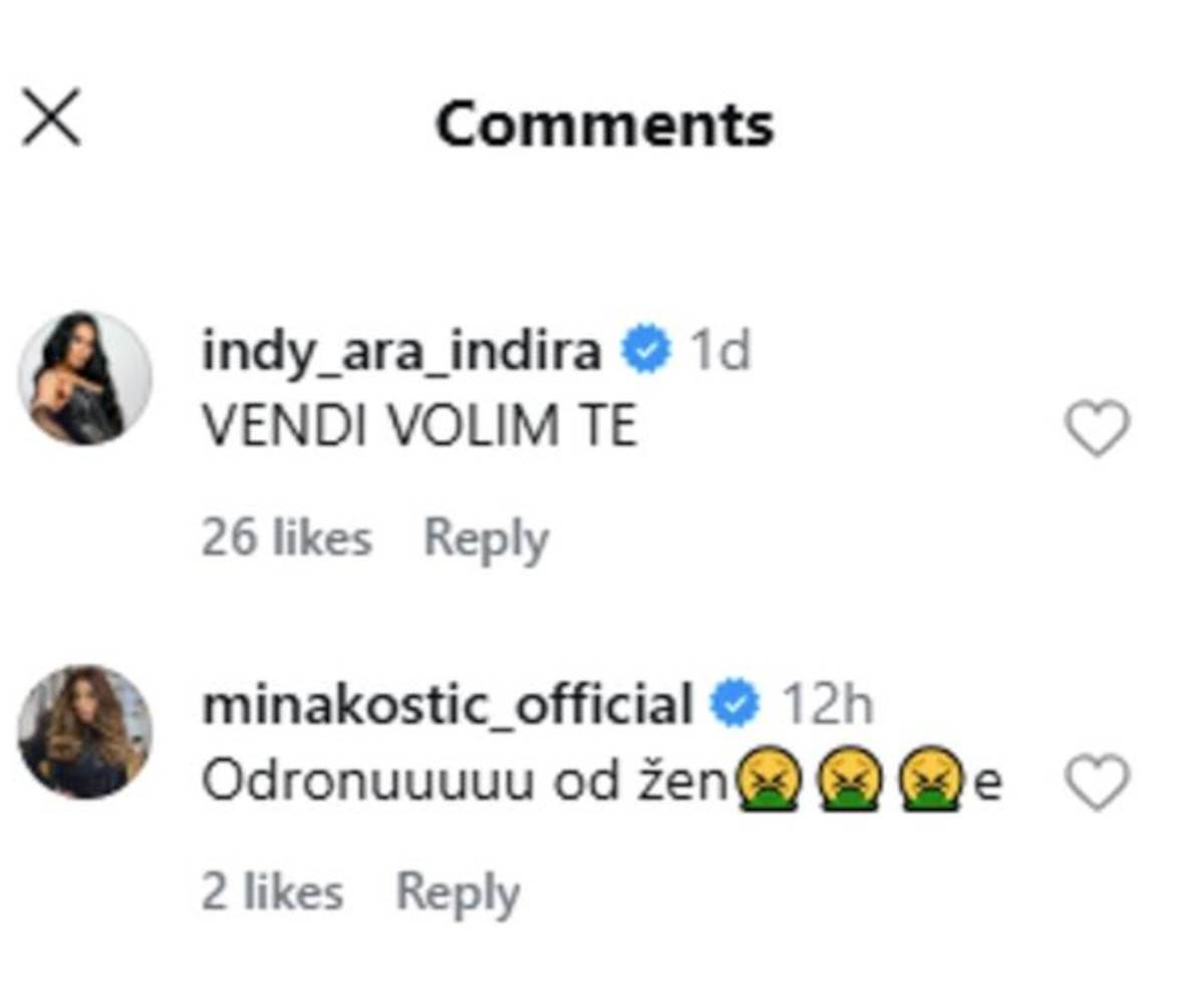 Indi Mina Kostić Vendi