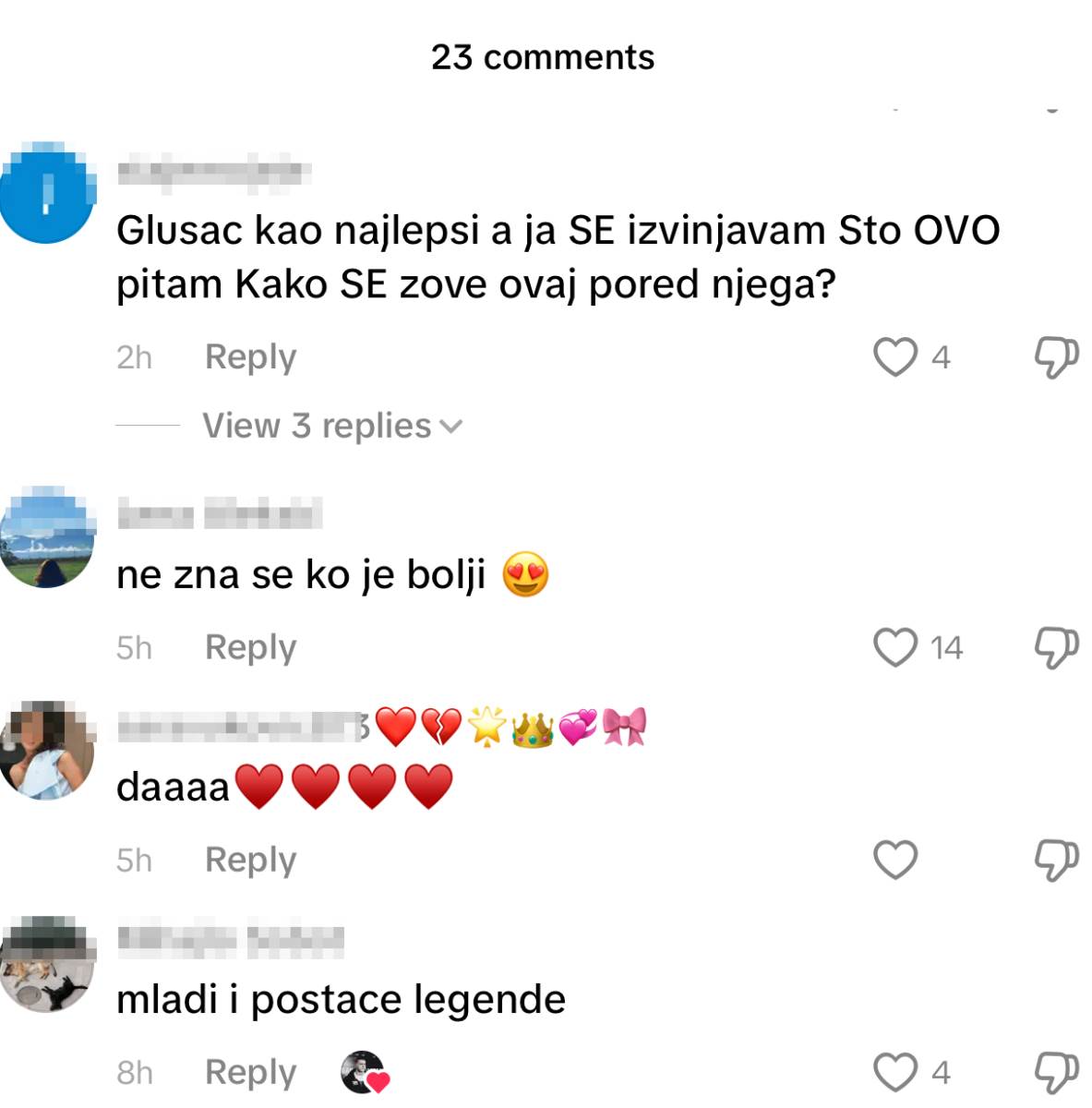 Vasilije Martinović komentari