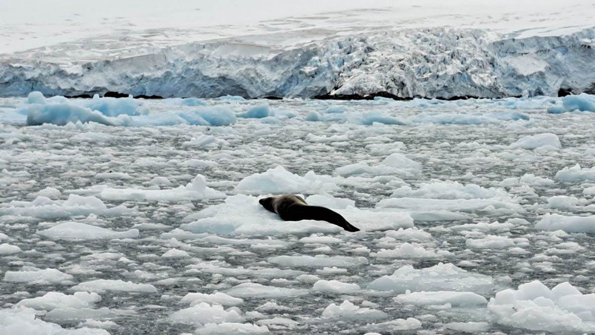 Crnogorski naučnici na Antartiku (8).jpg