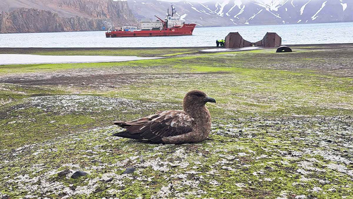 Crnogorski naučnici na Antartiku (13).jpg