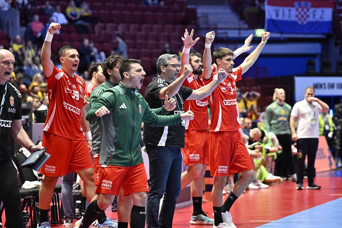 Mađarska-Švedska (1).jpg