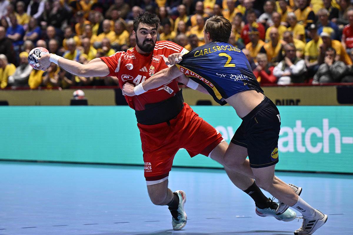 Mađarska-Švedska (3).jpg