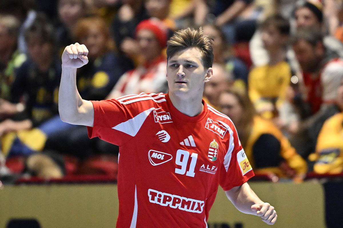 Mađarska-Švedska (8).jpg