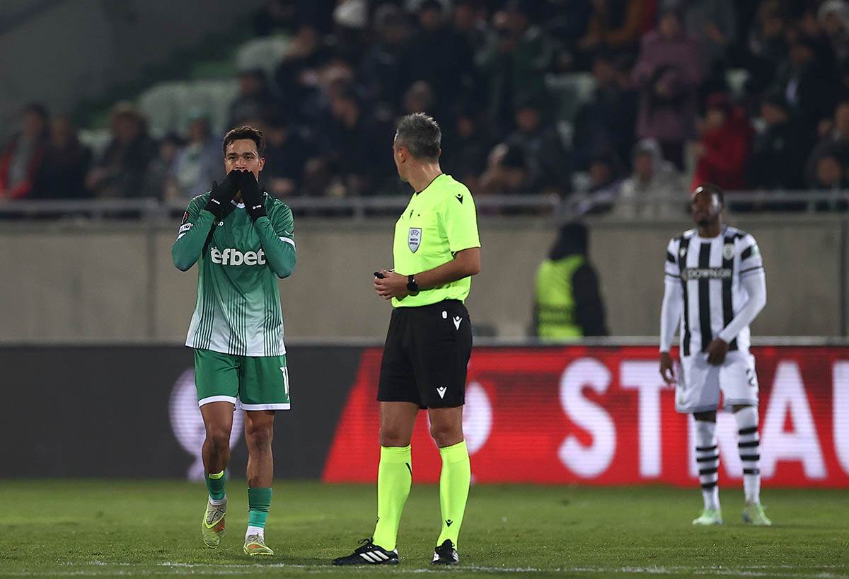 Petar Stanić (9).jpg