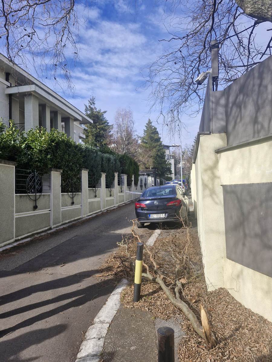 Zdravko Čolić vila Dedinje (2) copy.jpg