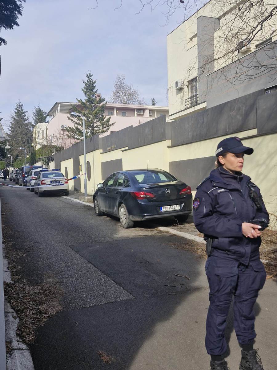 Zdravko Čolić vila Dedinje (1) copy.jpg