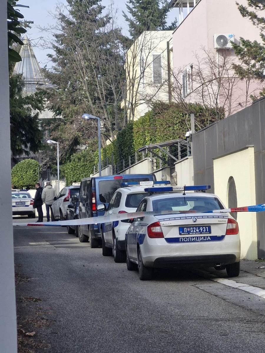 Zdravko Čolić vila Dedinje (2) copy.jpg