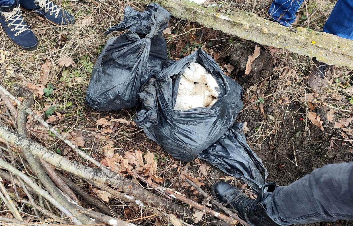 Droga iz Pančeva (2).jpg