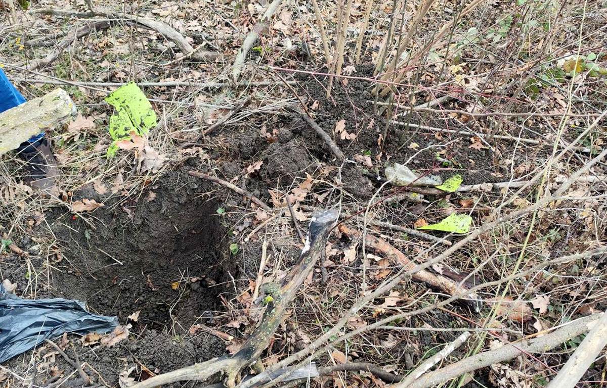 Droga iz Pančeva (3).jpg