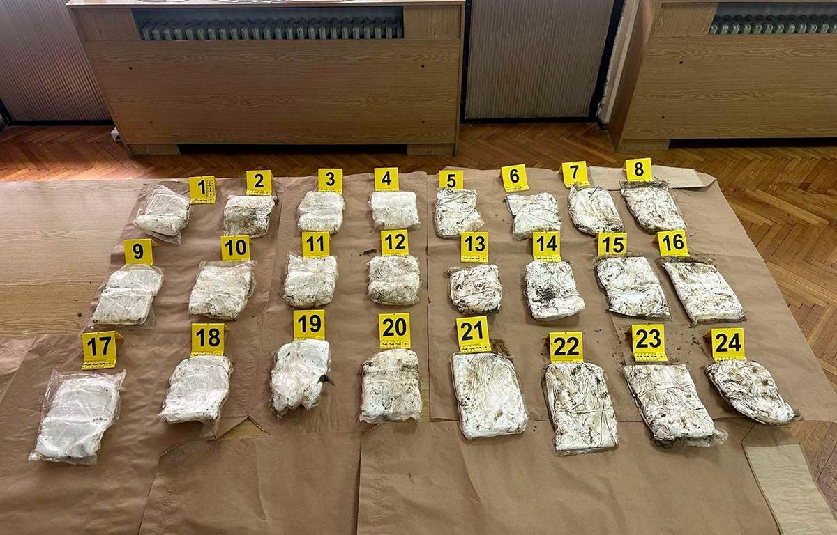 Droga iz Pančeva (5).jpg