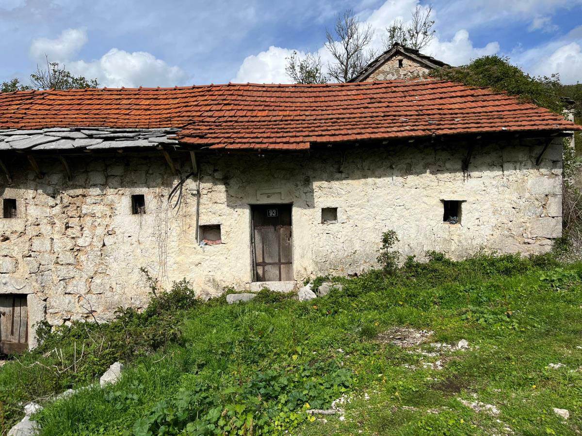 Očevina Zdravko Čolić (1).jpg