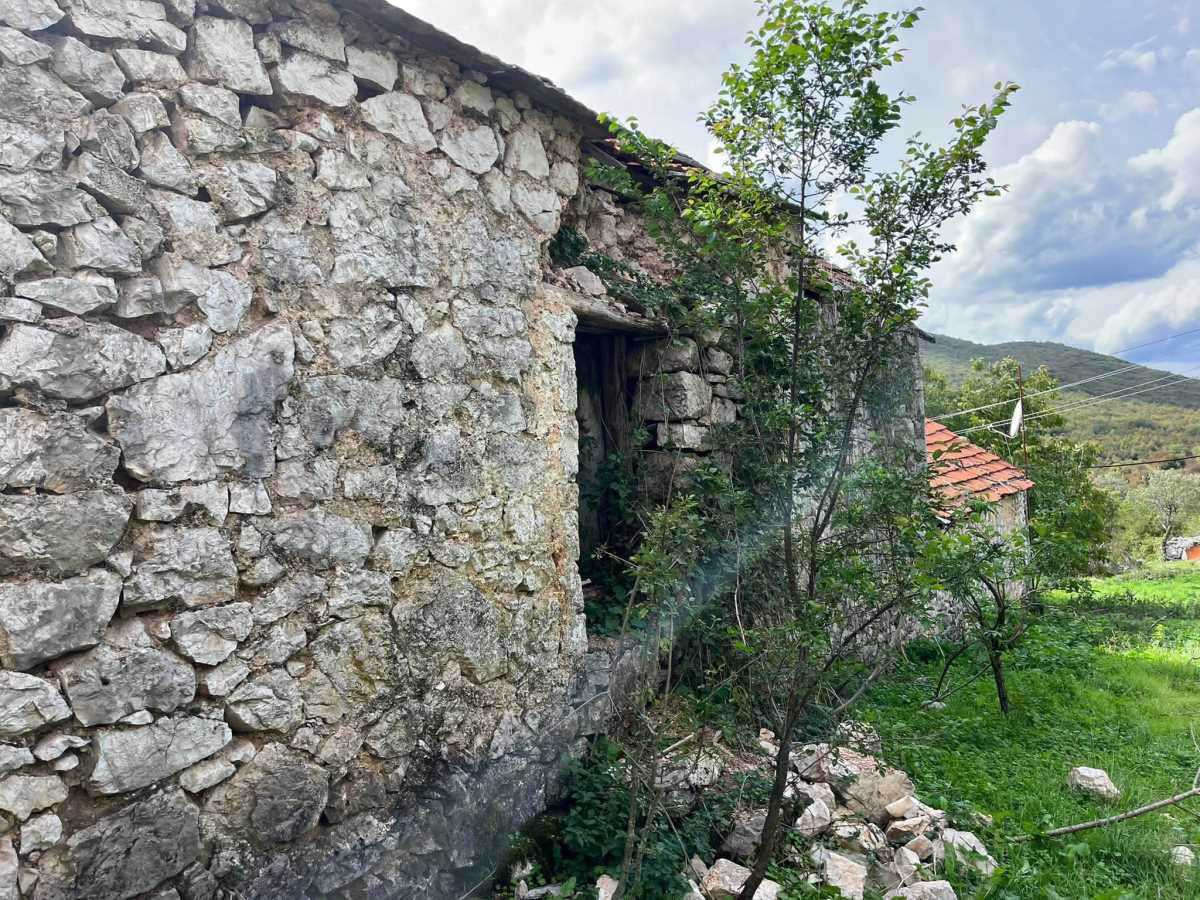 Očevina Zdravko Čolić (8).jpg