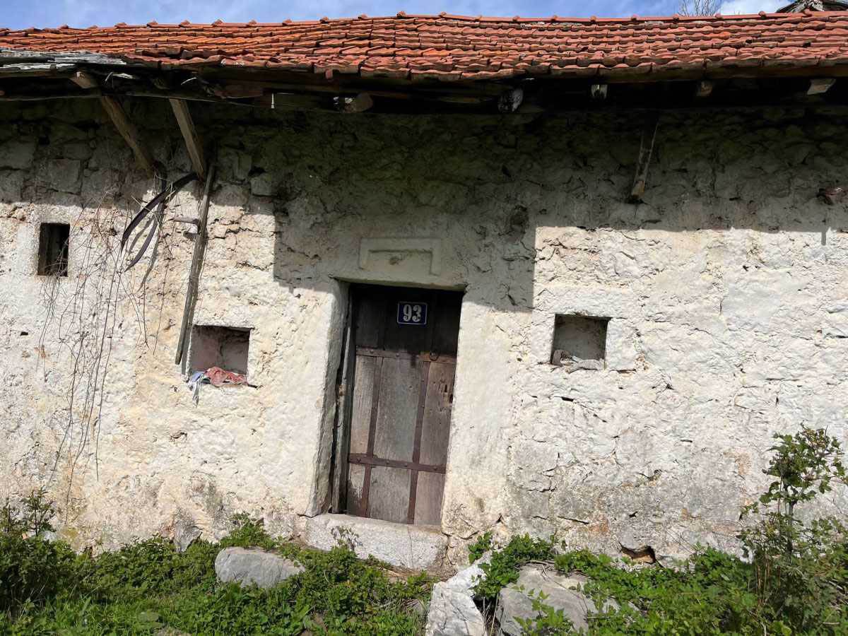 Očevina Zdravko Čolić (10).jpg