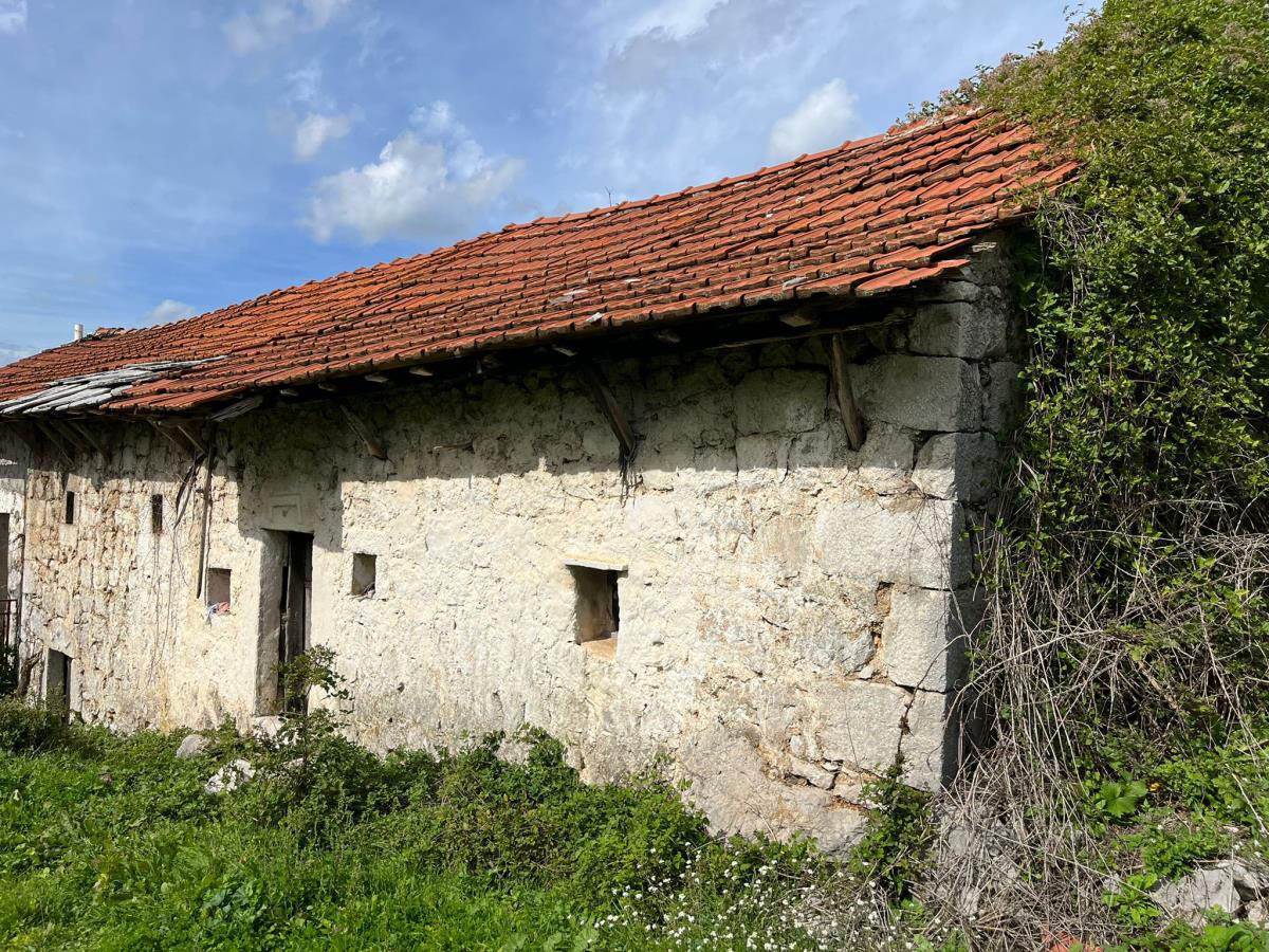 Očevina Zdravko Čolić (11).jpg