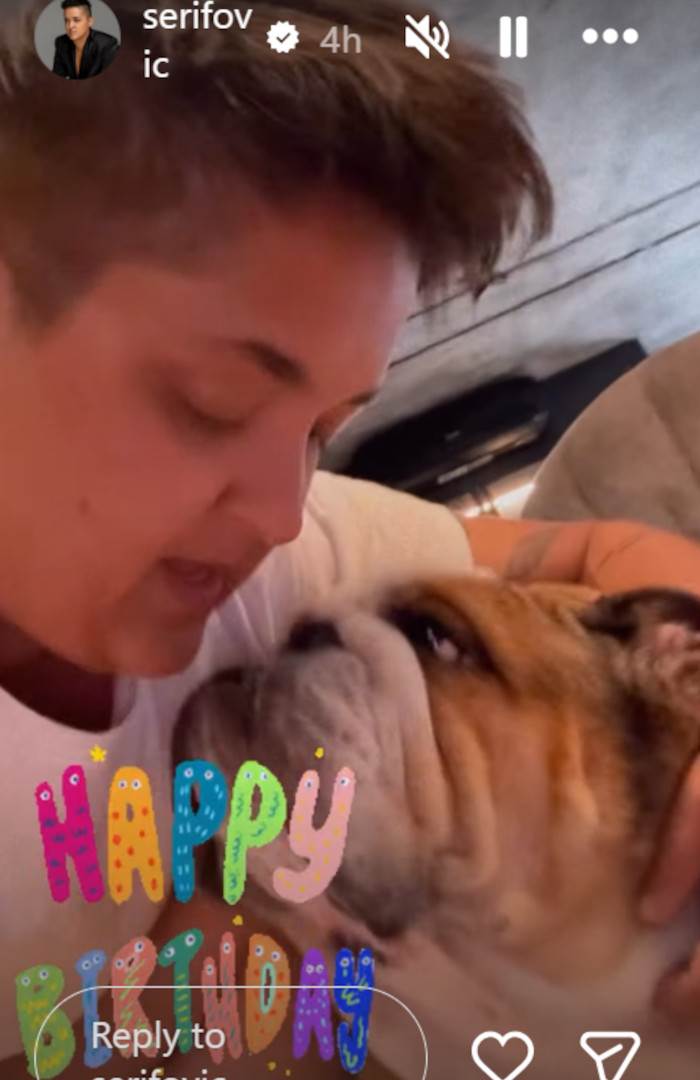 Marija Šerifović pas rođendan.jpg