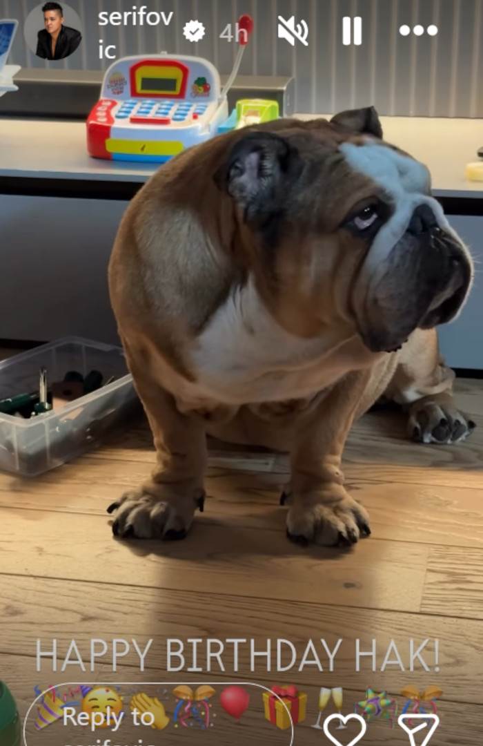 Marija Šerifović pas.jpg