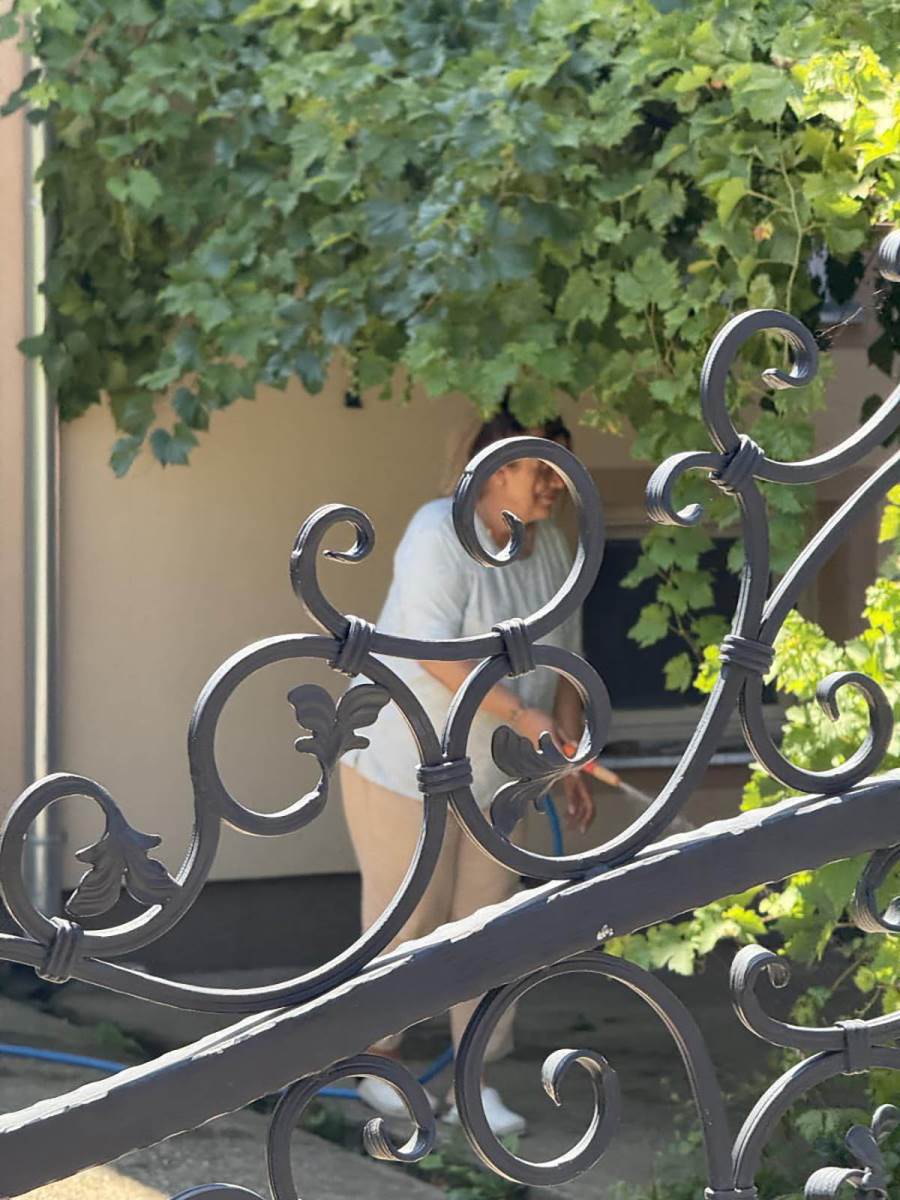 Milica Todorović kuća (1).jpg